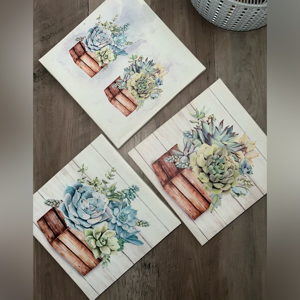 3 Succulent canvas like pictures